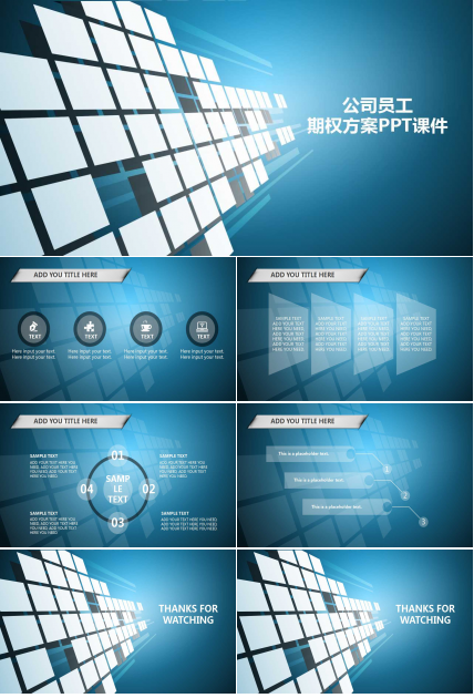 公司员工期权方案PPT课件