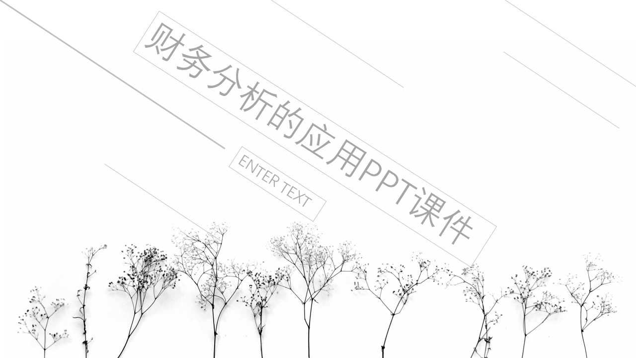 财务分析的应用PPT课件