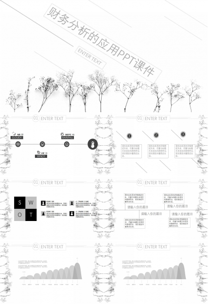 财务分析的应用PPT课件