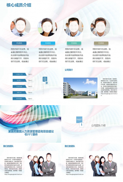 某医药集团人力资源管理咨询项目建议书PPT课件