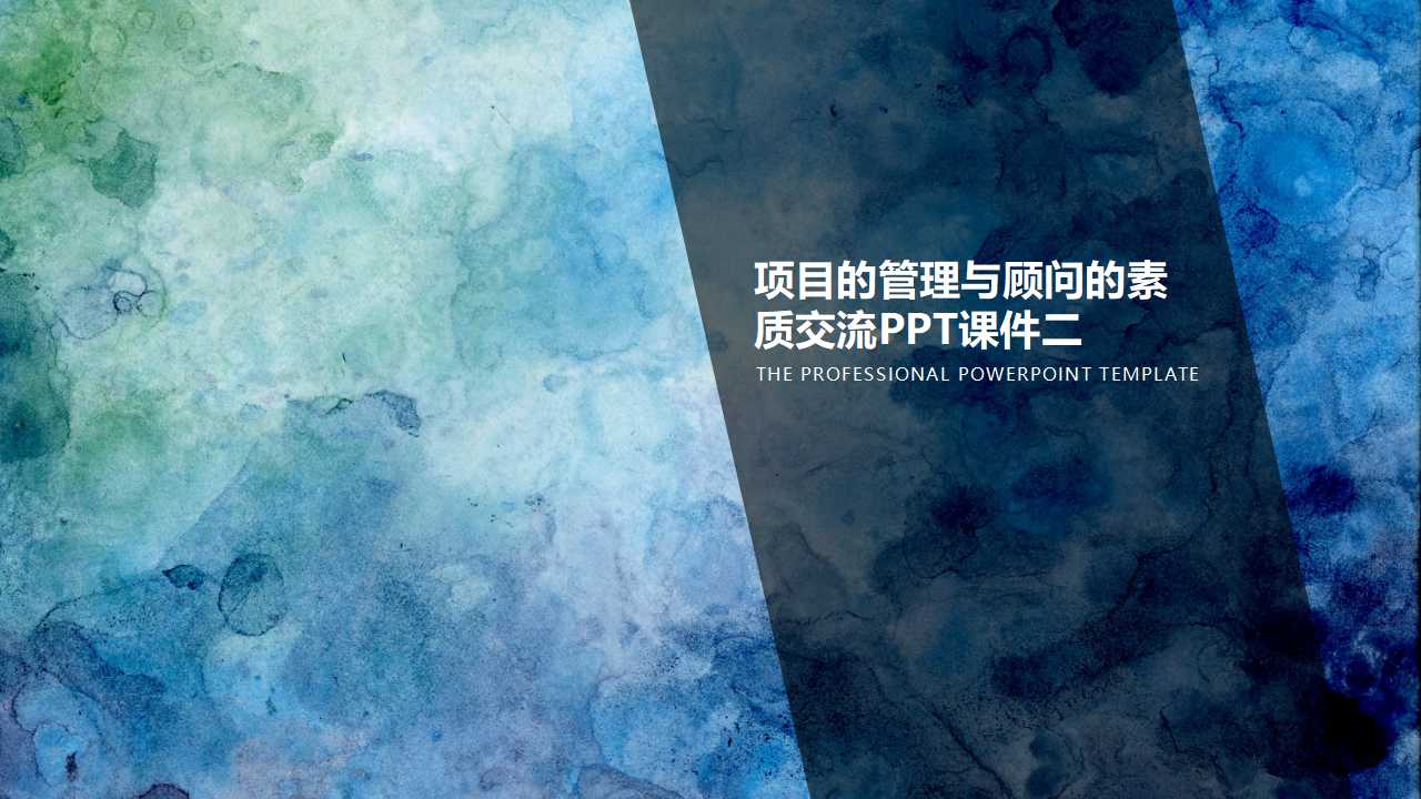项目的管理与顾问的素质交流PPT课件二
