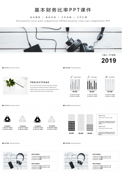 基本财务比率PPT课件