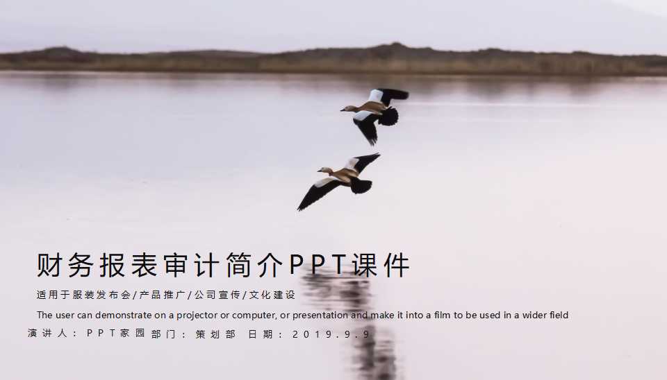 财务报表审计简介PPT课件