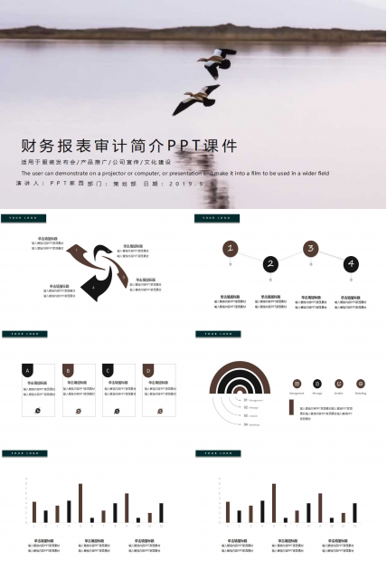 财务报表审计简介PPT课件