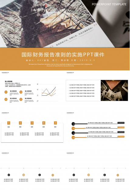 国际财务报告准则的实施PPT课件