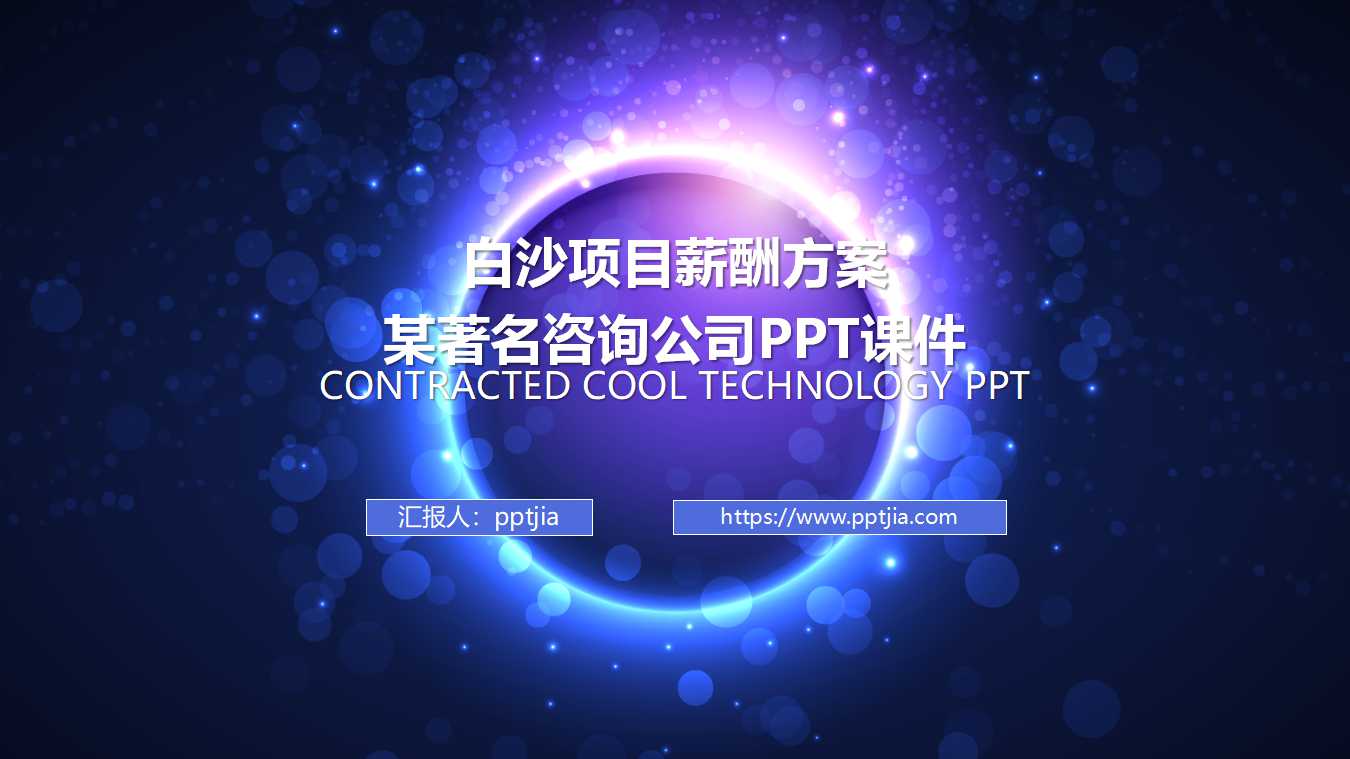 白沙项目薪酬方案-某著名咨询公司PPT课件