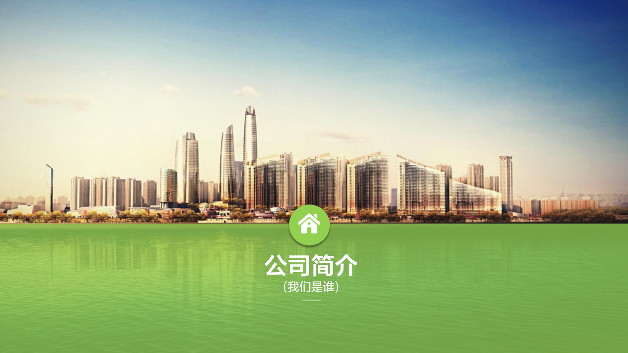 某销售总公司预诊报告PPT课件