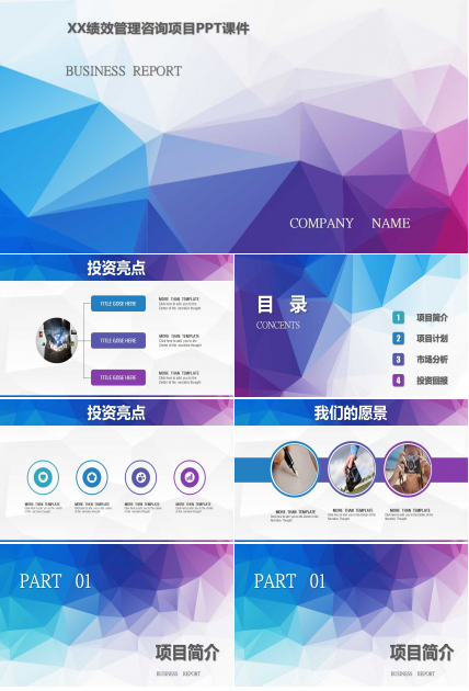 XX绩效管理咨询项目PPT课件