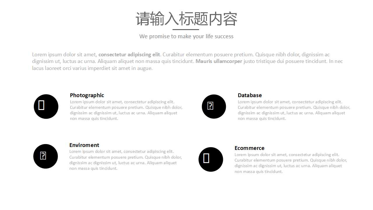 网络财务战略及成果PPT课件