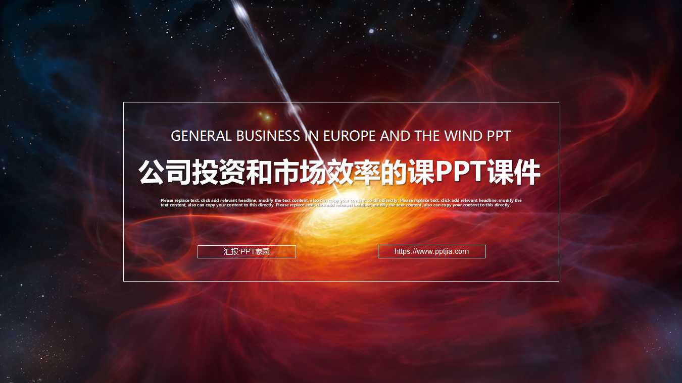 公司投资和市场效率的课PPT课件