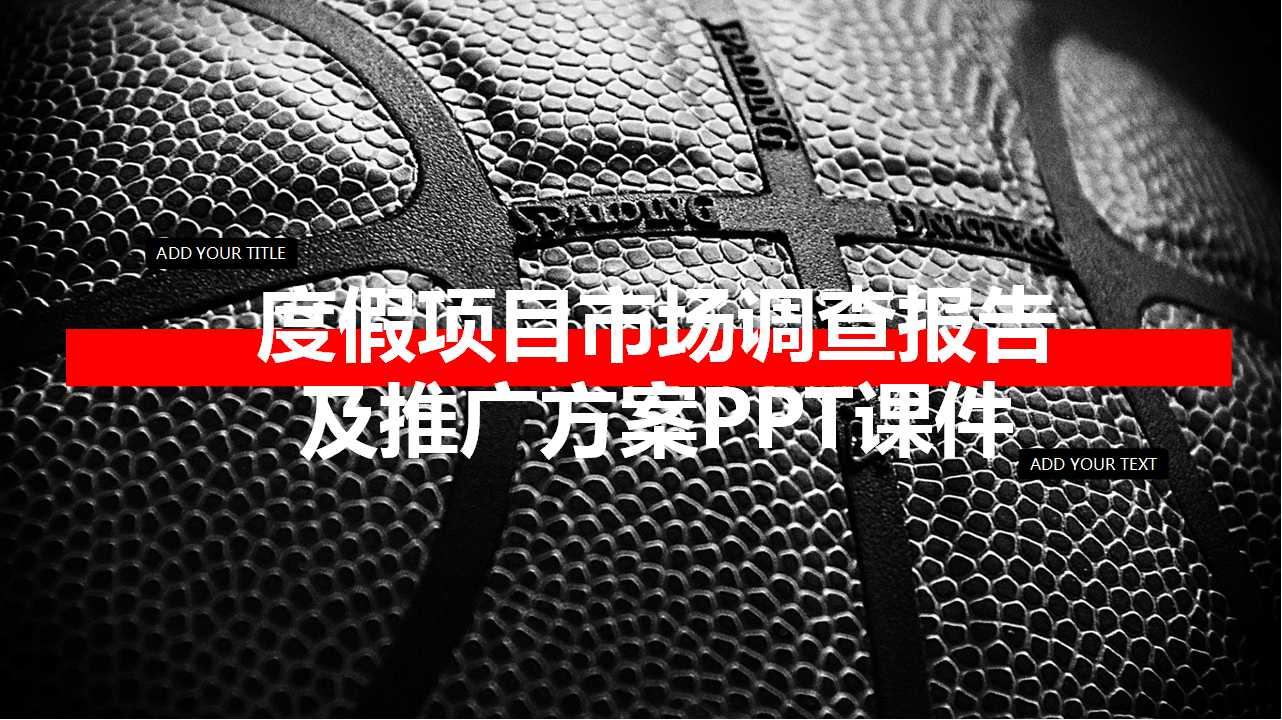 度假项目市场调查报告及推广方案PPT课件
