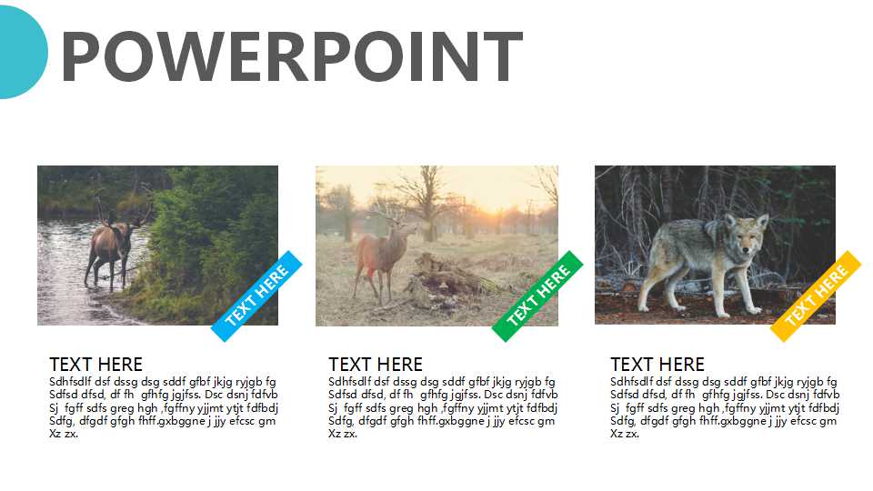 会务的组织和管理PPT课件