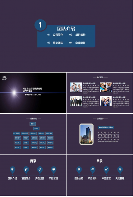 肖尔布拉克营销战略规划PPT课件