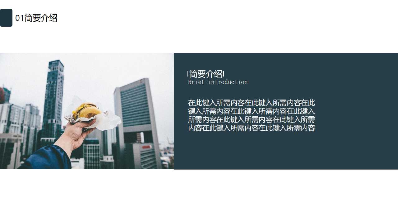 现代广告的心理策略-广告策划与公众心理PPT课件