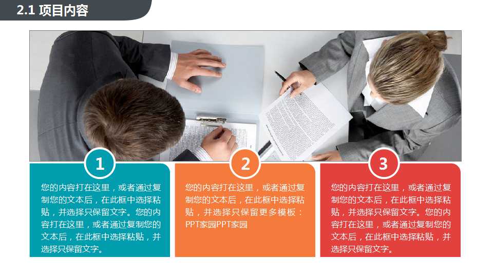 金花转移因子’99行销策划案PPT课件