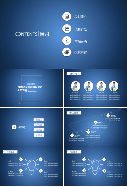 战略项目指南初级读本PPT课件