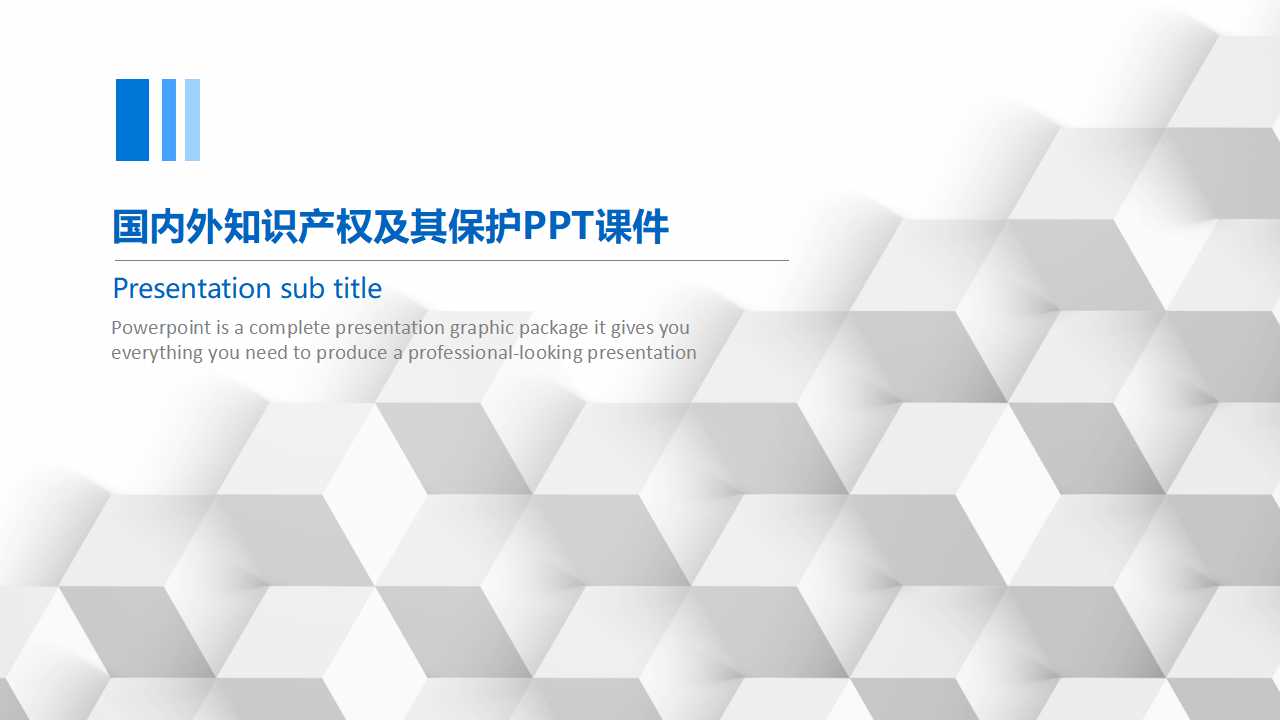 国内外知识产权及其保护PPT课件