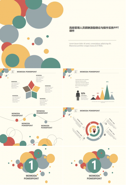 高级管理人员薪酬激励理论与操作实务PPT课件