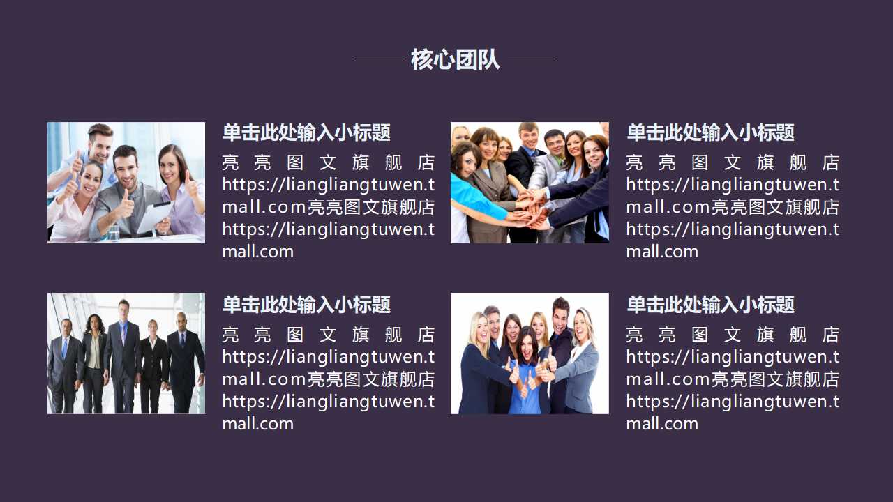 肖尔布拉克营销战略规划PPT课件