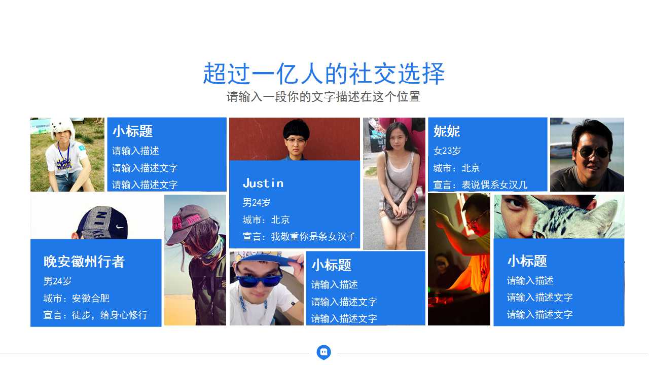 蓝月亮媒介策划建议书PPT课件