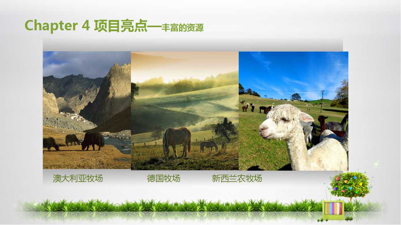 花园项目近期营销推广策划案提报PPT课件