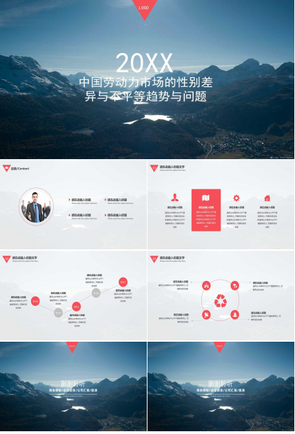 中国劳动力市场的性别差异与不平等趋势与问题PPT课件