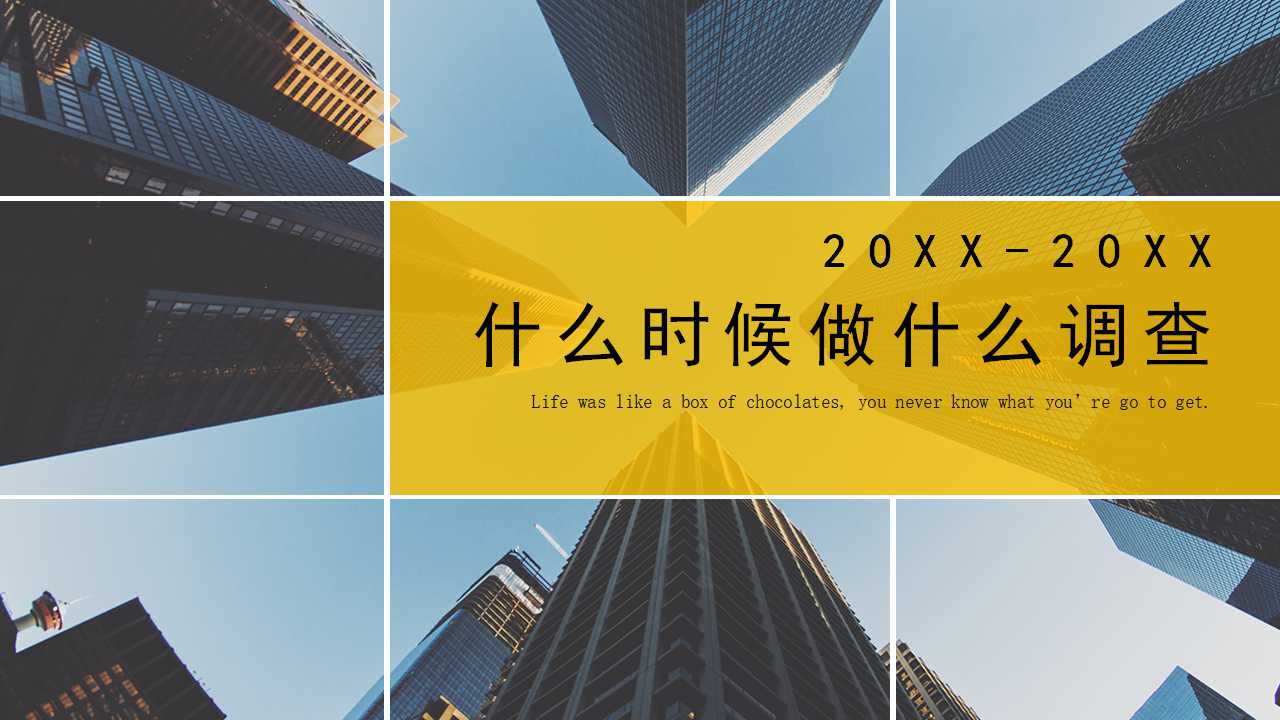 什么时候做什么调查PPT课件