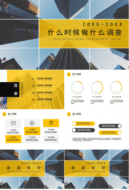 什么时候做什么调查PPT课件