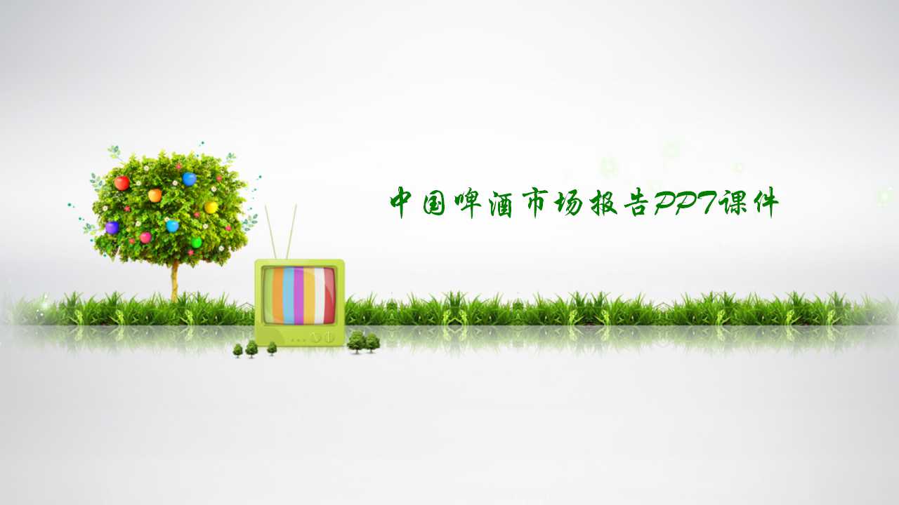 中国啤酒市场报告PPT课件