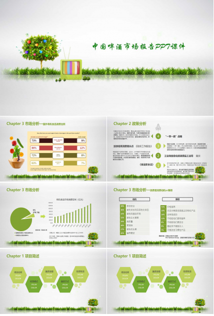 中国啤酒市场报告PPT课件
