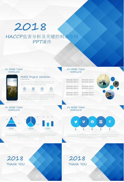 HACCP危害分析及关键控制点介绍PPT课件