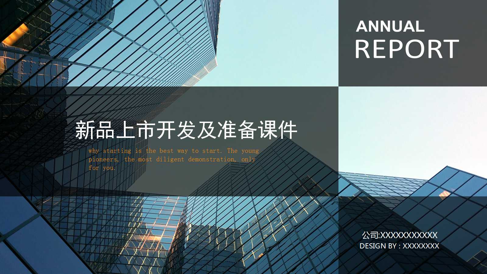 新品上市开发及准备PPT课件