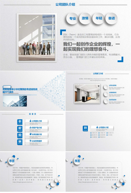 财务报表审计中对舞弊的考虑准则讲解PPT课件