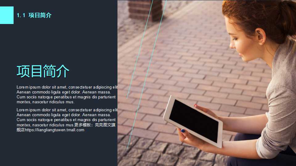 土地开发整理项目预算编制PPT课件