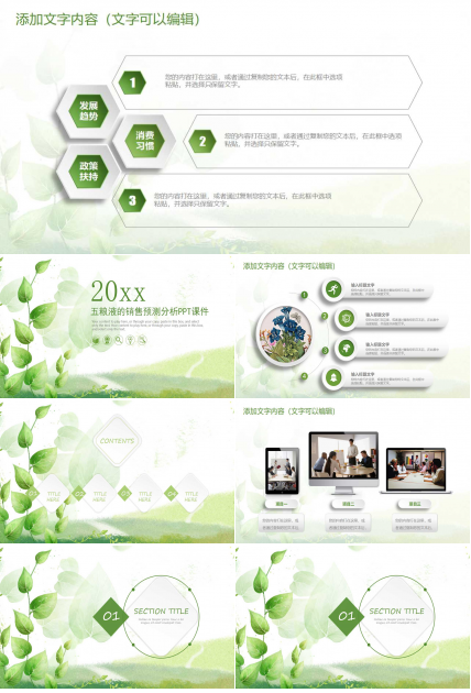 五粮液的销售预测分析PPT课件