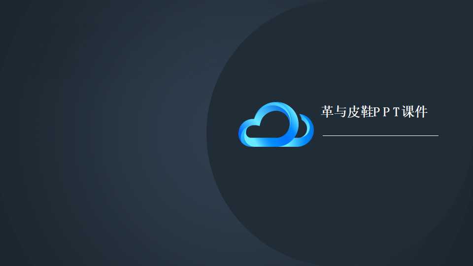 革与皮鞋PPT课件