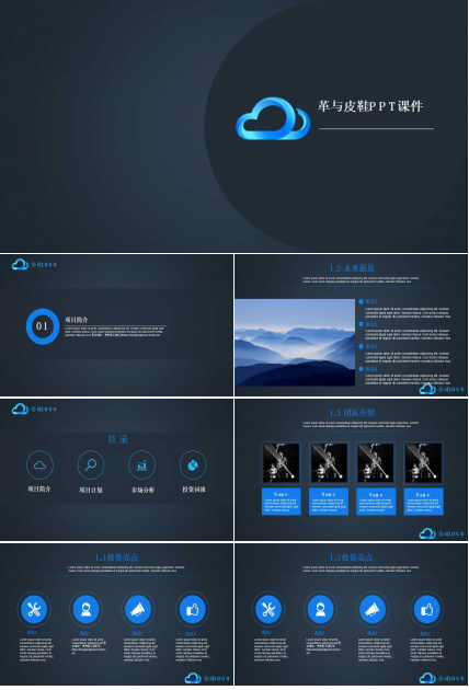 革与皮鞋PPT课件