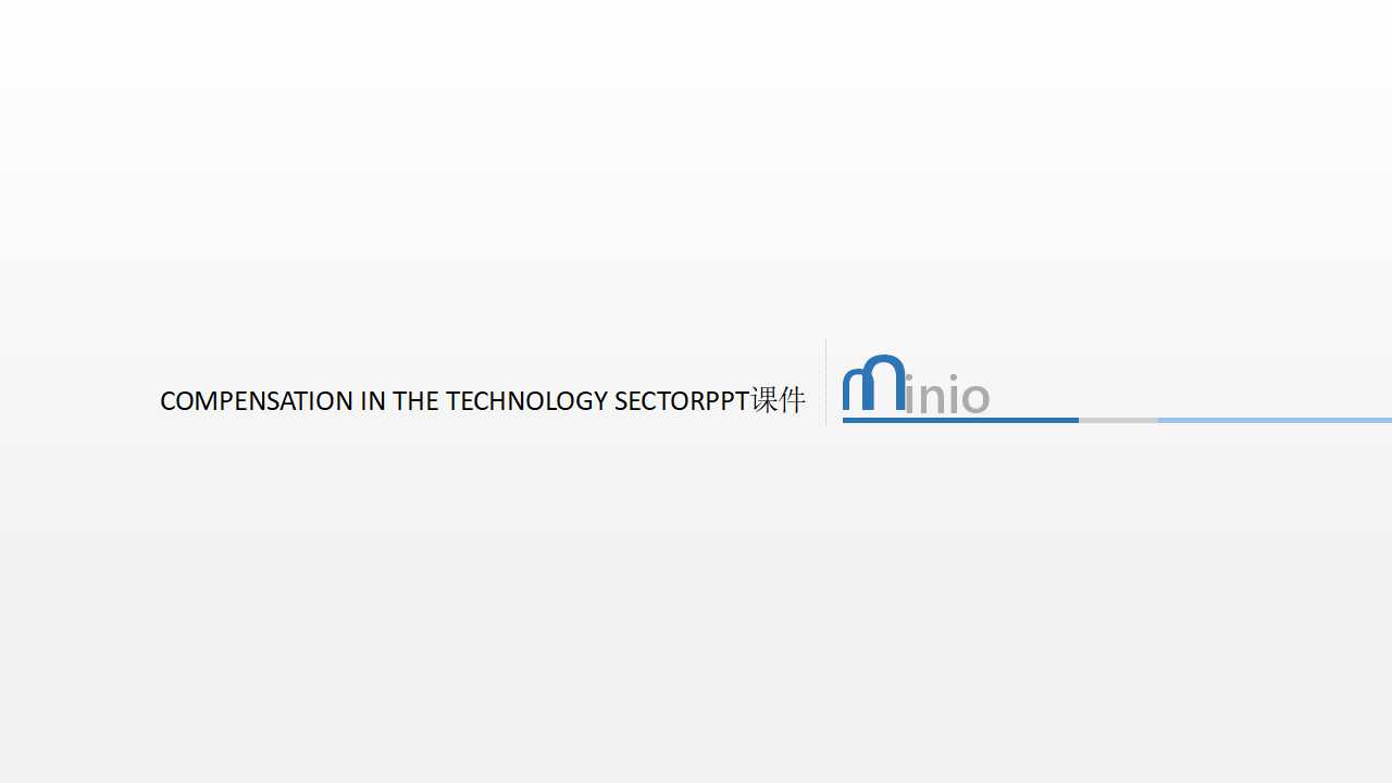 COMPENSATION IN THE TECHNOLOGY SECTORPPT课件