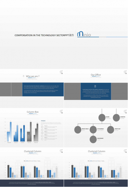 COMPENSATION IN THE TECHNOLOGY SECTORPPT课件