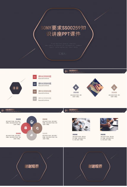SONY要求SS00259知识讲座PPT课件