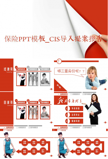 保险PPT模板_CIS导入提案报告