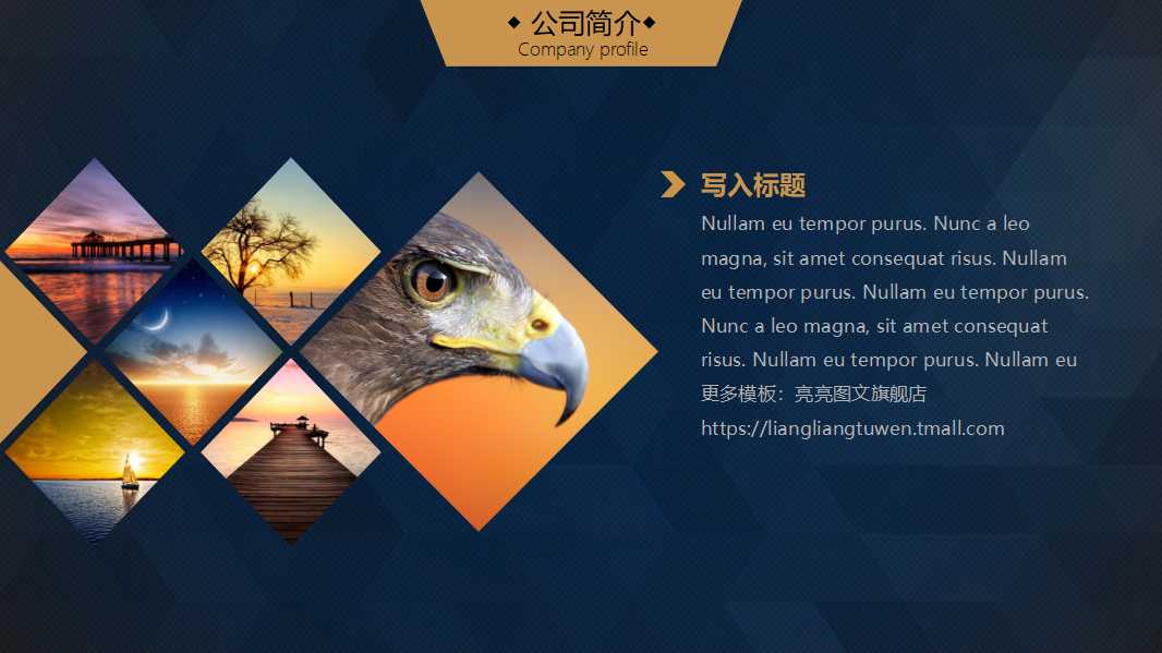 账户和复式记账法的初步应用PPT课件