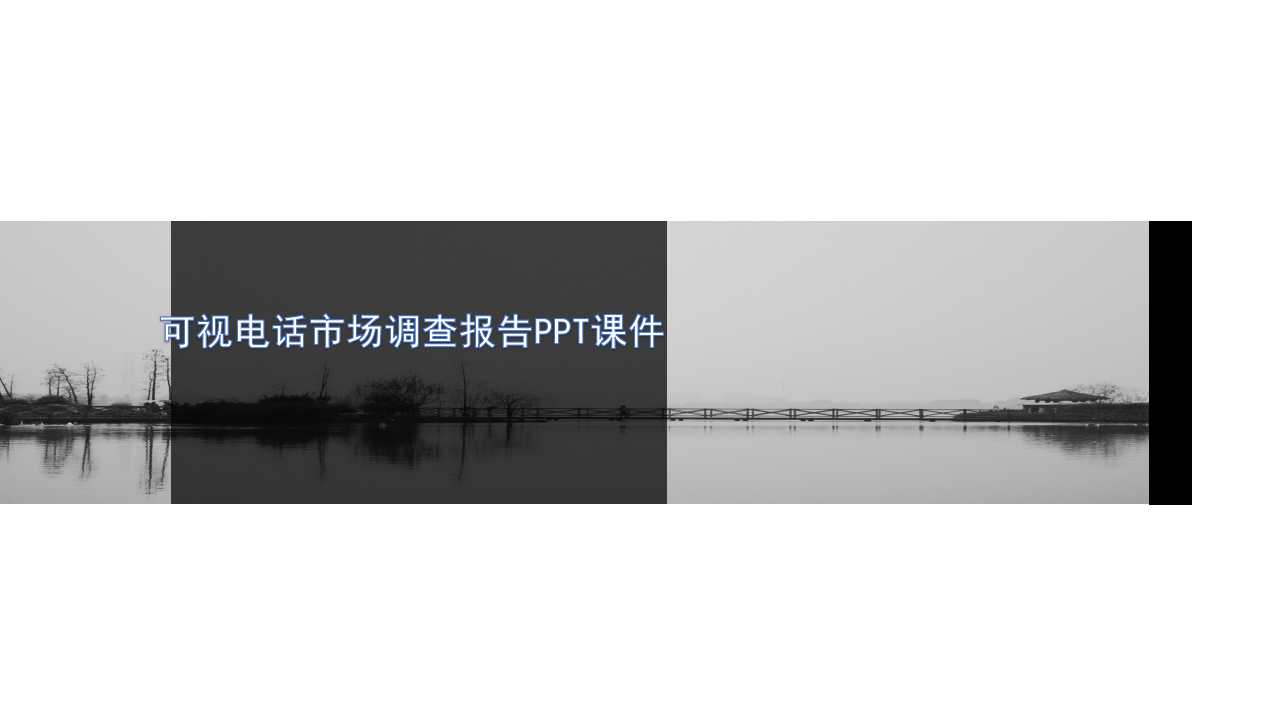 可视电话市场调查报告PPT课件