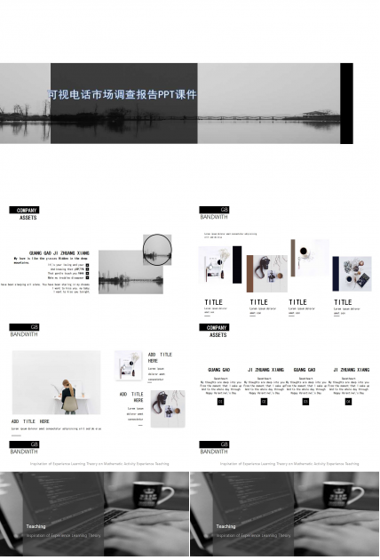 可视电话市场调查报告PPT课件