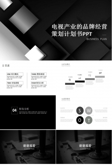 电视产业的品牌经营PPT课件