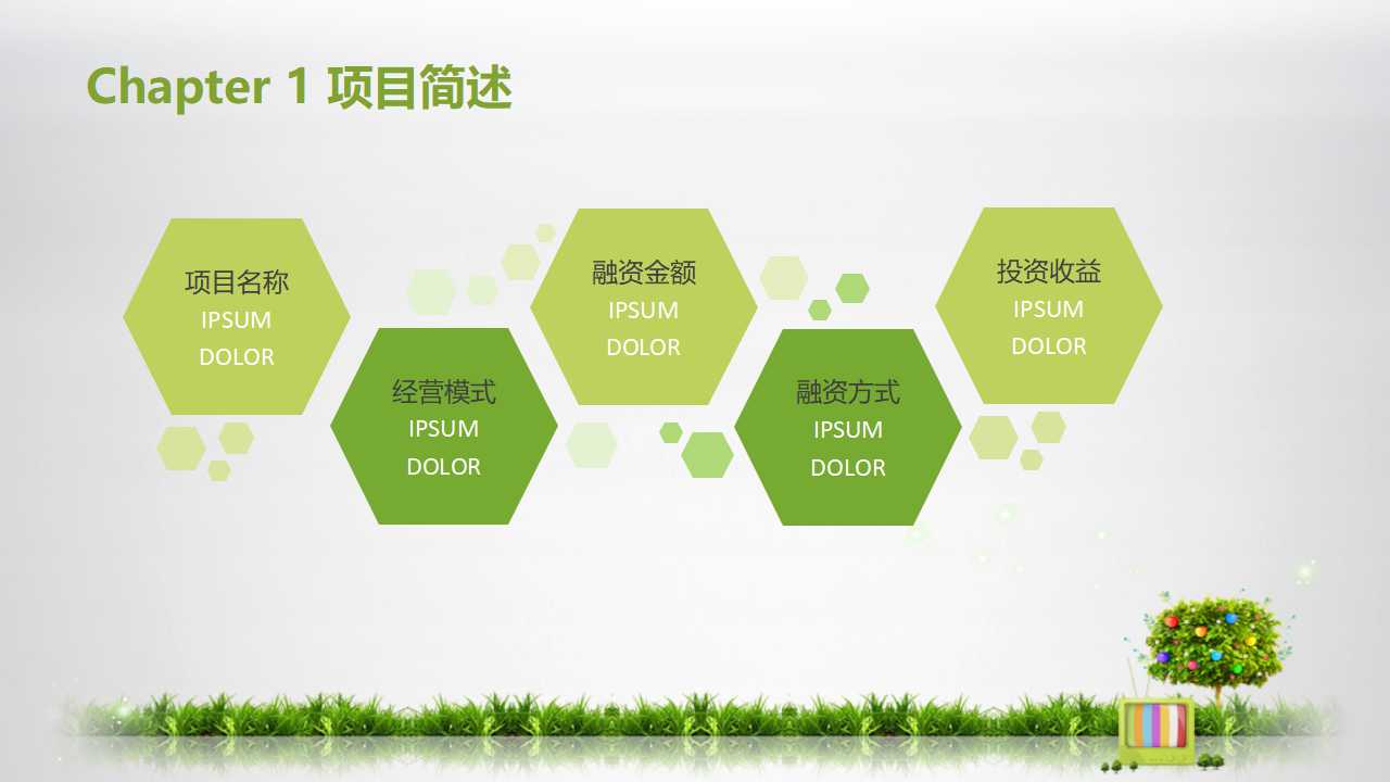 中国啤酒市场报告PPT课件