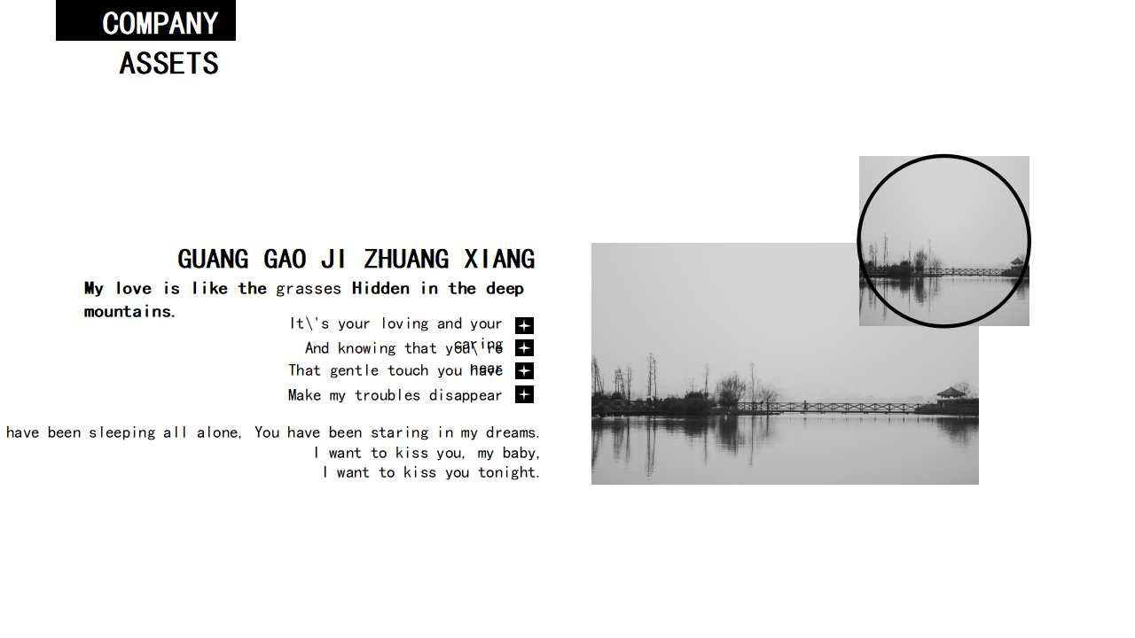 可视电话市场调查报告PPT课件