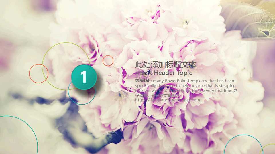 品管七大手法的基本观念PPT课件