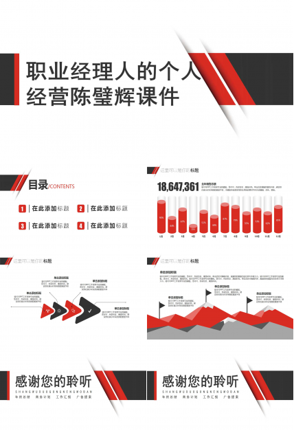 职业经理人的个人经营陈璧辉PPT课件