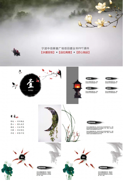 宁波中信泰富广场项目建议书PPT课件